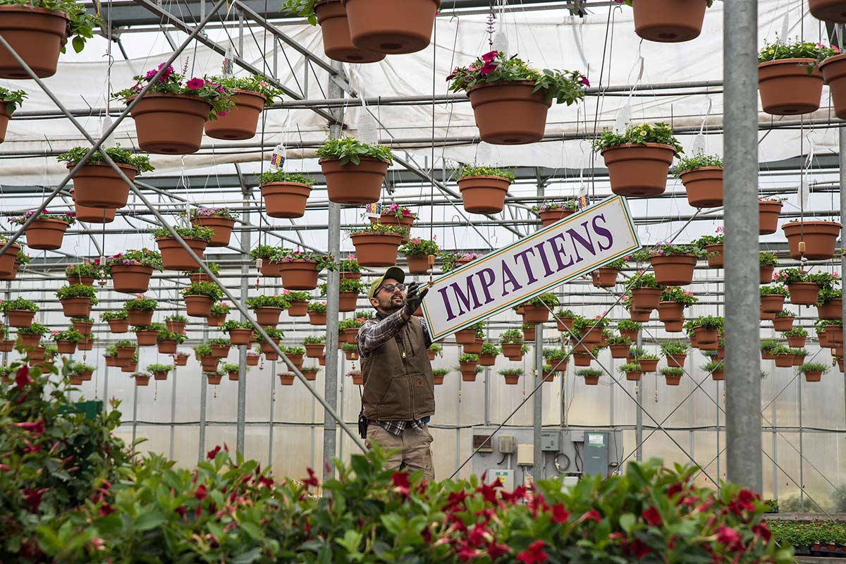 Greenhouse Gallery Clark Farms