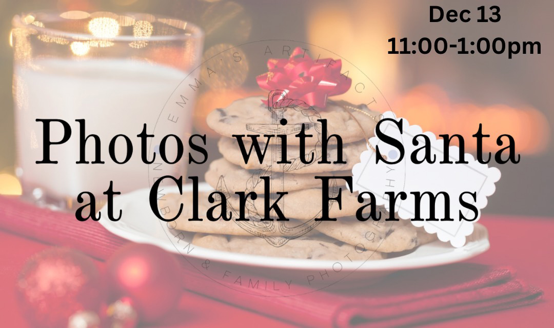 Clark Farms Christmas Inside The Greenhouse